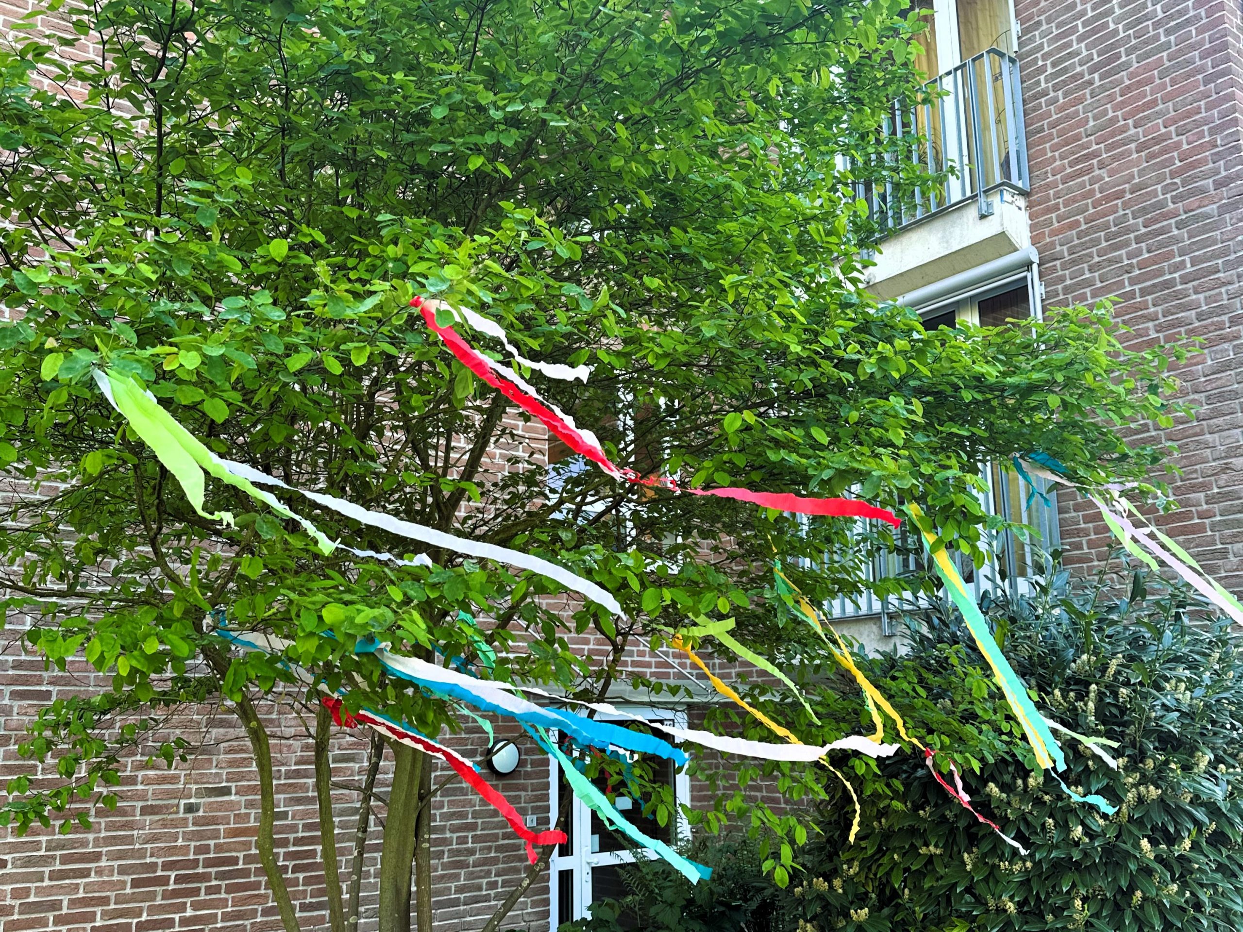 Ein junger Baum ist mit bunten Papierbändern geschmückt, die im Wind flattern. Im Hintergrund ist ein Backsteingebäude mit Fenstern und französischen Balkonen zu sehen.